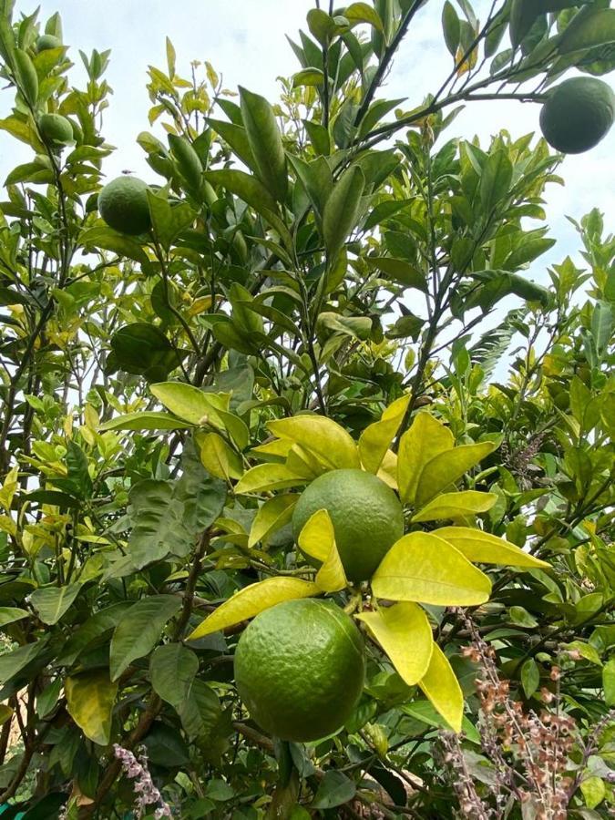 מלון מאלשיג' גט Jandyal Farm House מראה חיצוני תמונה